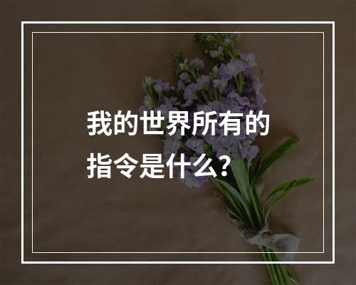 我的世界所有的指令是什么？