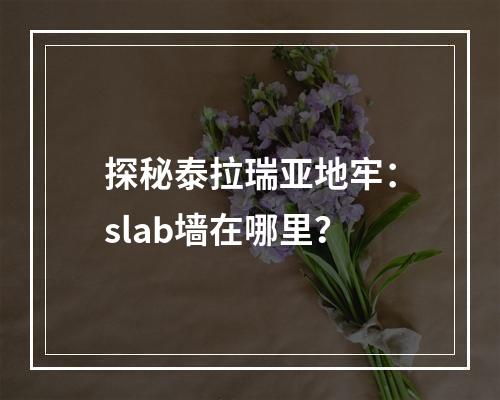 探秘泰拉瑞亚地牢：slab墙在哪里？