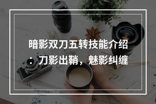 暗影双刀五转技能介绍：刀影出鞘，魅影纠缠