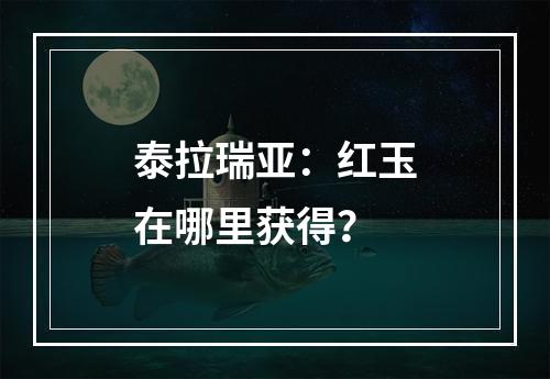 泰拉瑞亚：红玉在哪里获得？