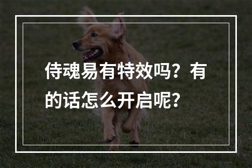 侍魂易有特效吗？有的话怎么开启呢？