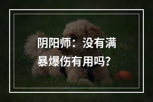 阴阳师：没有满暴爆伤有用吗？