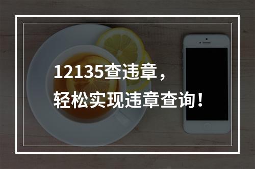 12135查违章，轻松实现违章查询！