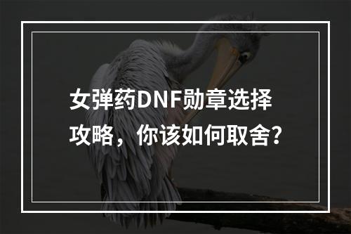 女弹药DNF勋章选择攻略，你该如何取舍？