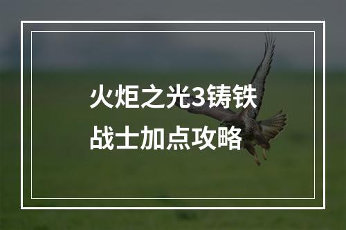 火炬之光3铸铁战士加点攻略