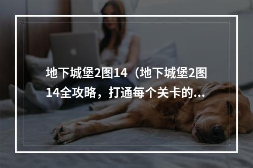 地下城堡2图14（地下城堡2图14全攻略，打通每个关卡的方法和技巧都在这里！）