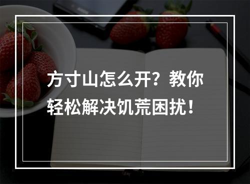 方寸山怎么开？教你轻松解决饥荒困扰！