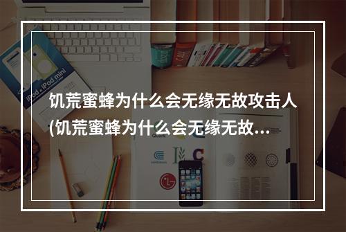 饥荒蜜蜂为什么会无缘无故攻击人(饥荒蜜蜂为什么会无缘无故攻击人呢)