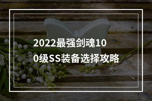 2022最强剑魂100级SS装备选择攻略