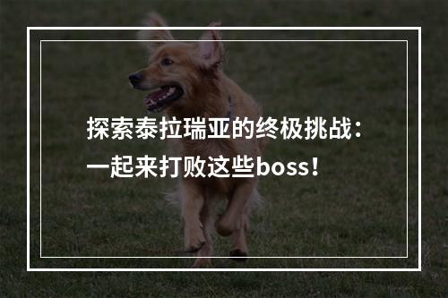 探索泰拉瑞亚的终极挑战：一起来打败这些boss！