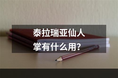 泰拉瑞亚仙人掌有什么用？