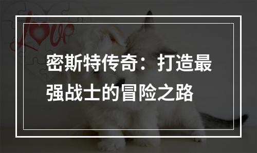 密斯特传奇：打造最强战士的冒险之路