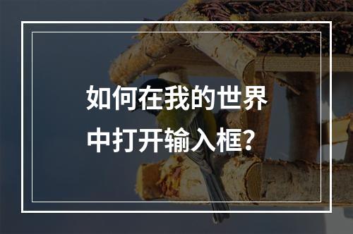 如何在我的世界中打开输入框？