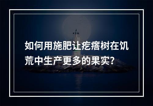 如何用施肥让疙瘩树在饥荒中生产更多的果实？