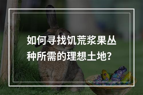 如何寻找饥荒浆果丛种所需的理想土地？