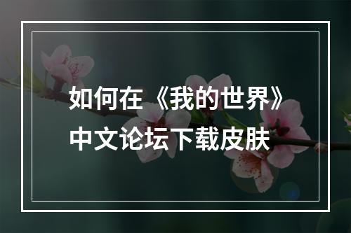 如何在《我的世界》中文论坛下载皮肤