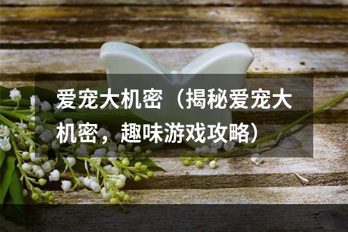 爱宠大机密（揭秘爱宠大机密，趣味游戏攻略）