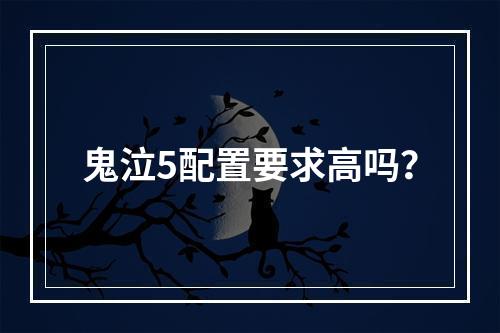 鬼泣5配置要求高吗？