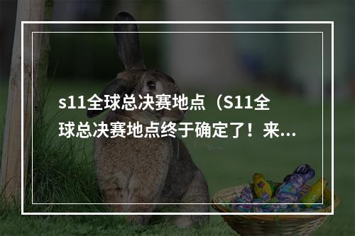 s11全球总决赛地点（S11全球总决赛地点终于确定了！来看看这些细节）