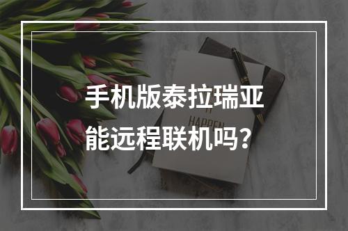 手机版泰拉瑞亚能远程联机吗？