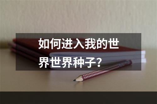 如何进入我的世界世界种子？