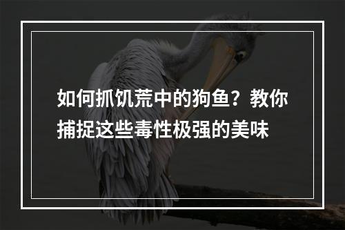 如何抓饥荒中的狗鱼？教你捕捉这些毒性极强的美味