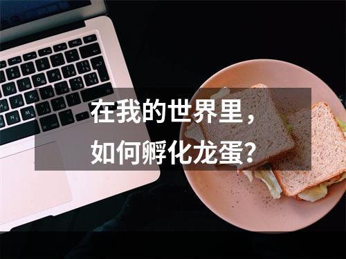 在我的世界里，如何孵化龙蛋？