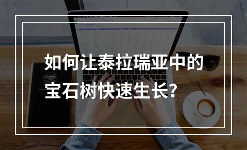 如何让泰拉瑞亚中的宝石树快速生长？