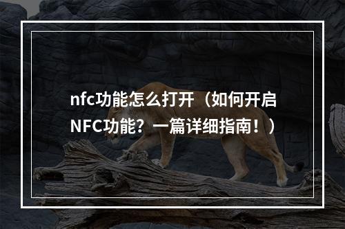 nfc功能怎么打开（如何开启NFC功能？一篇详细指南！）