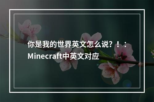 你是我的世界英文怎么说？！：Minecraft中英文对应