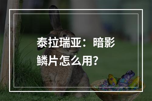 泰拉瑞亚：暗影鳞片怎么用？