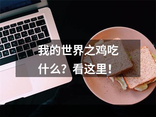 我的世界之鸡吃什么？看这里！