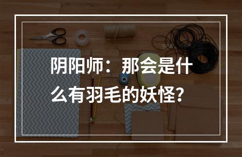 阴阳师：那会是什么有羽毛的妖怪？