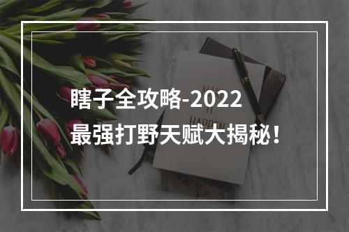 瞎子全攻略-2022最强打野天赋大揭秘！