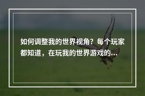 如何调整我的世界视角？每个玩家都知道，在玩我的世界游戏的时候，视角的适应度对于游戏体验来说非常重要。