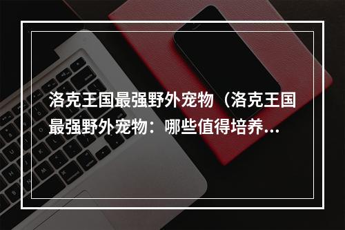 洛克王国最强野外宠物（洛克王国最强野外宠物：哪些值得培养？）