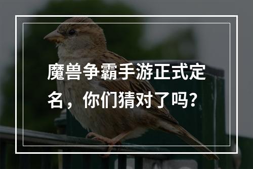 魔兽争霸手游正式定名，你们猜对了吗？