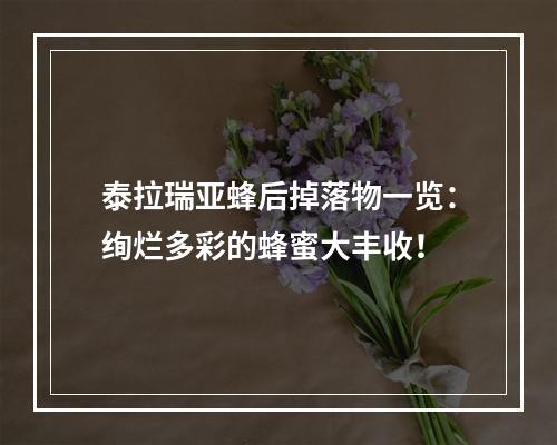 泰拉瑞亚蜂后掉落物一览：绚烂多彩的蜂蜜大丰收！