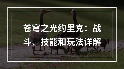 苍穹之光约里克：战斗、技能和玩法详解