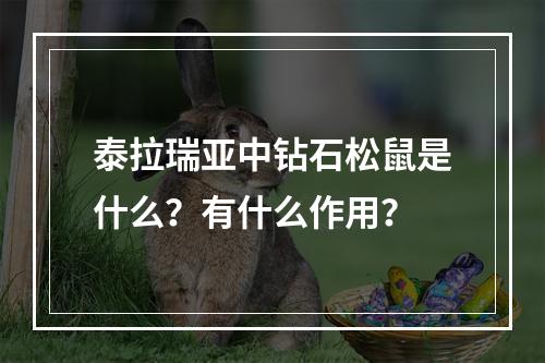 泰拉瑞亚中钻石松鼠是什么？有什么作用？