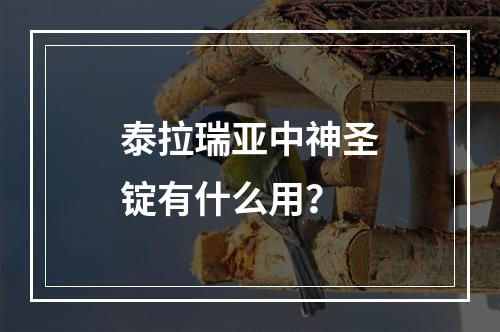 泰拉瑞亚中神圣锭有什么用？