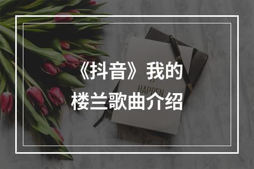 《抖音》我的楼兰歌曲介绍