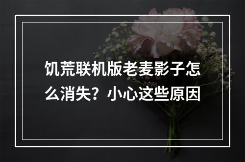 饥荒联机版老麦影子怎么消失？小心这些原因