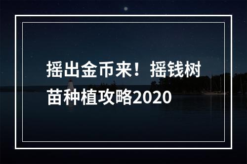 摇出金币来！摇钱树苗种植攻略2020