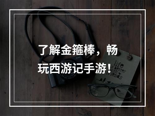 了解金箍棒，畅玩西游记手游！