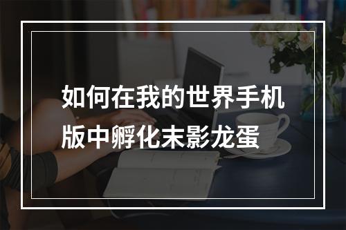 如何在我的世界手机版中孵化末影龙蛋