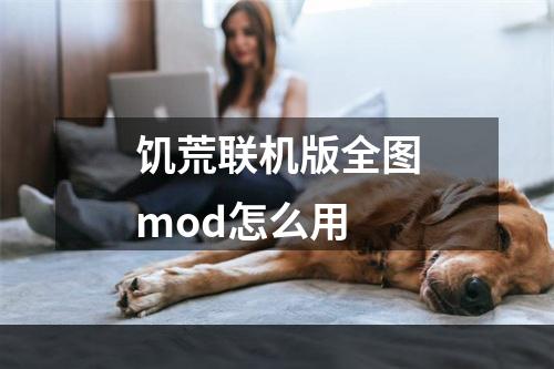 饥荒联机版全图mod怎么用