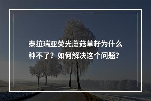 泰拉瑞亚荧光蘑菇草籽为什么种不了？如何解决这个问题？