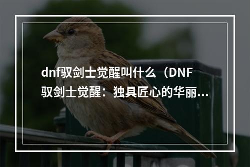 dnf驭剑士觉醒叫什么（DNF驭剑士觉醒：独具匠心的华丽升级）