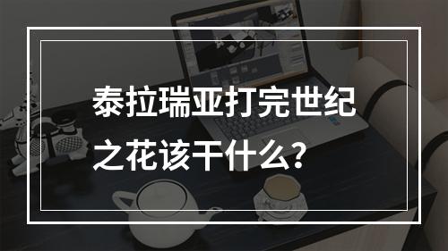 泰拉瑞亚打完世纪之花该干什么？